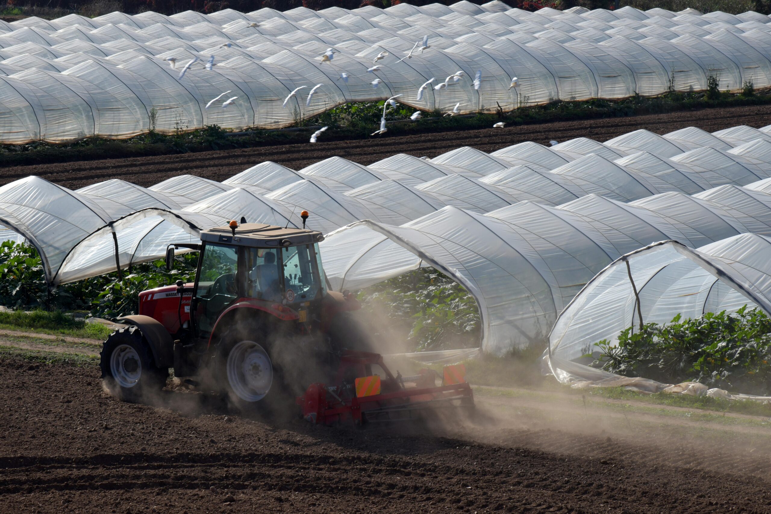 Los 5 principales beneficios que aporta la agricultura digital en 2026