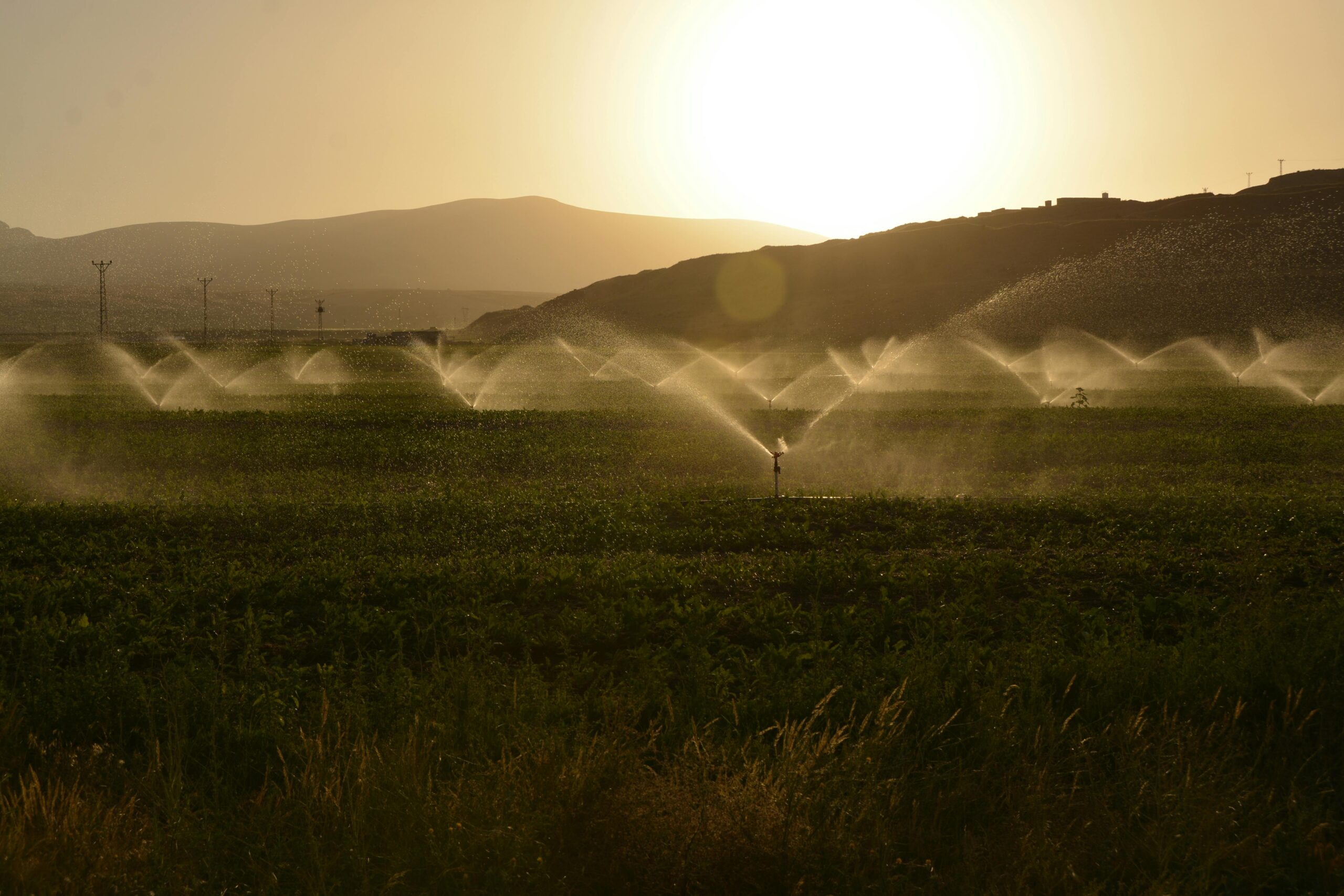 Cómo estructurar una estrategia de riego agrotech en finca