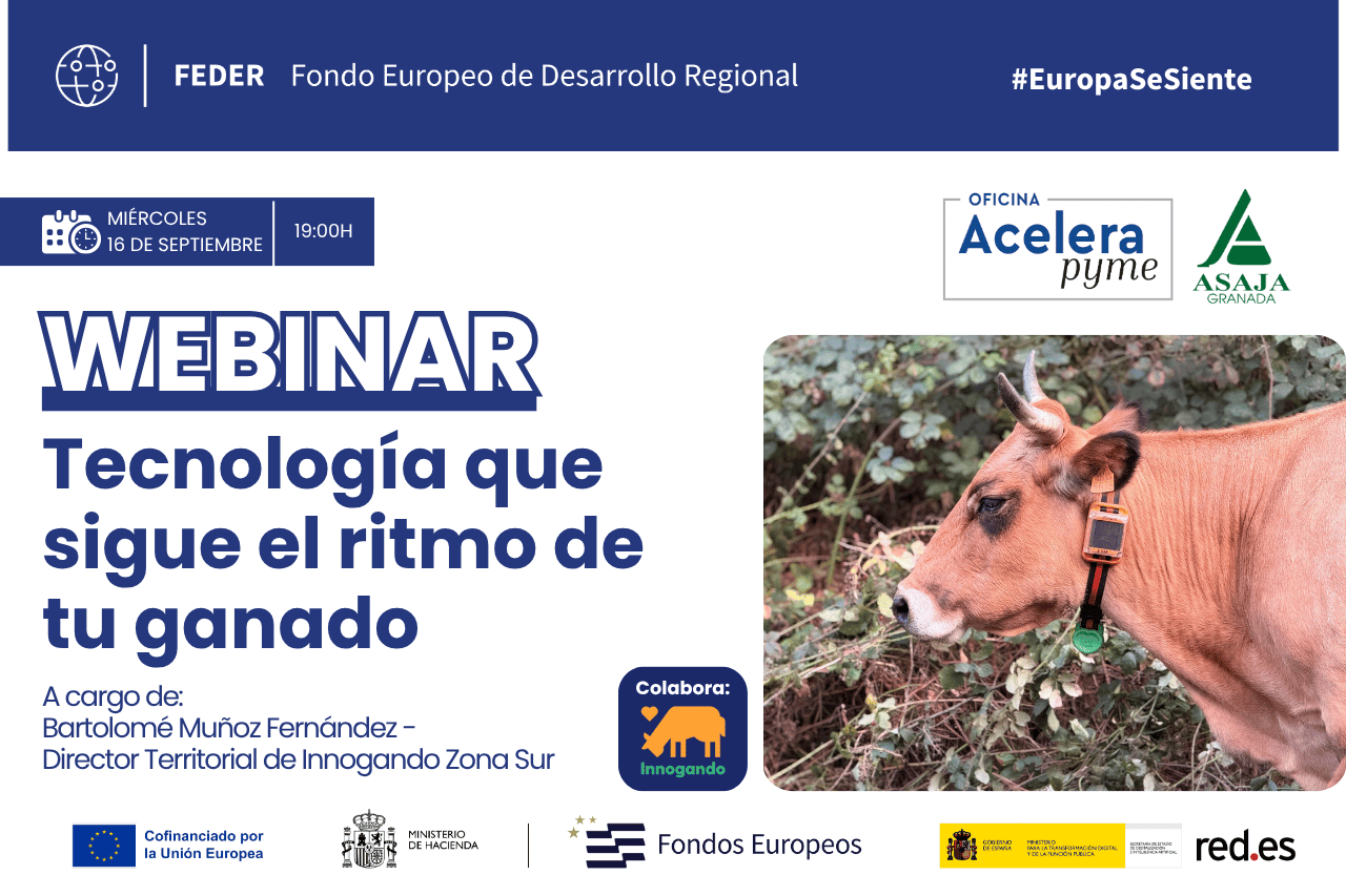 Collares inteligentes y ganadería digital, protagonistas de un nuevo webinar